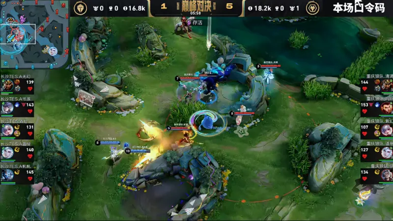 TE vs WOL