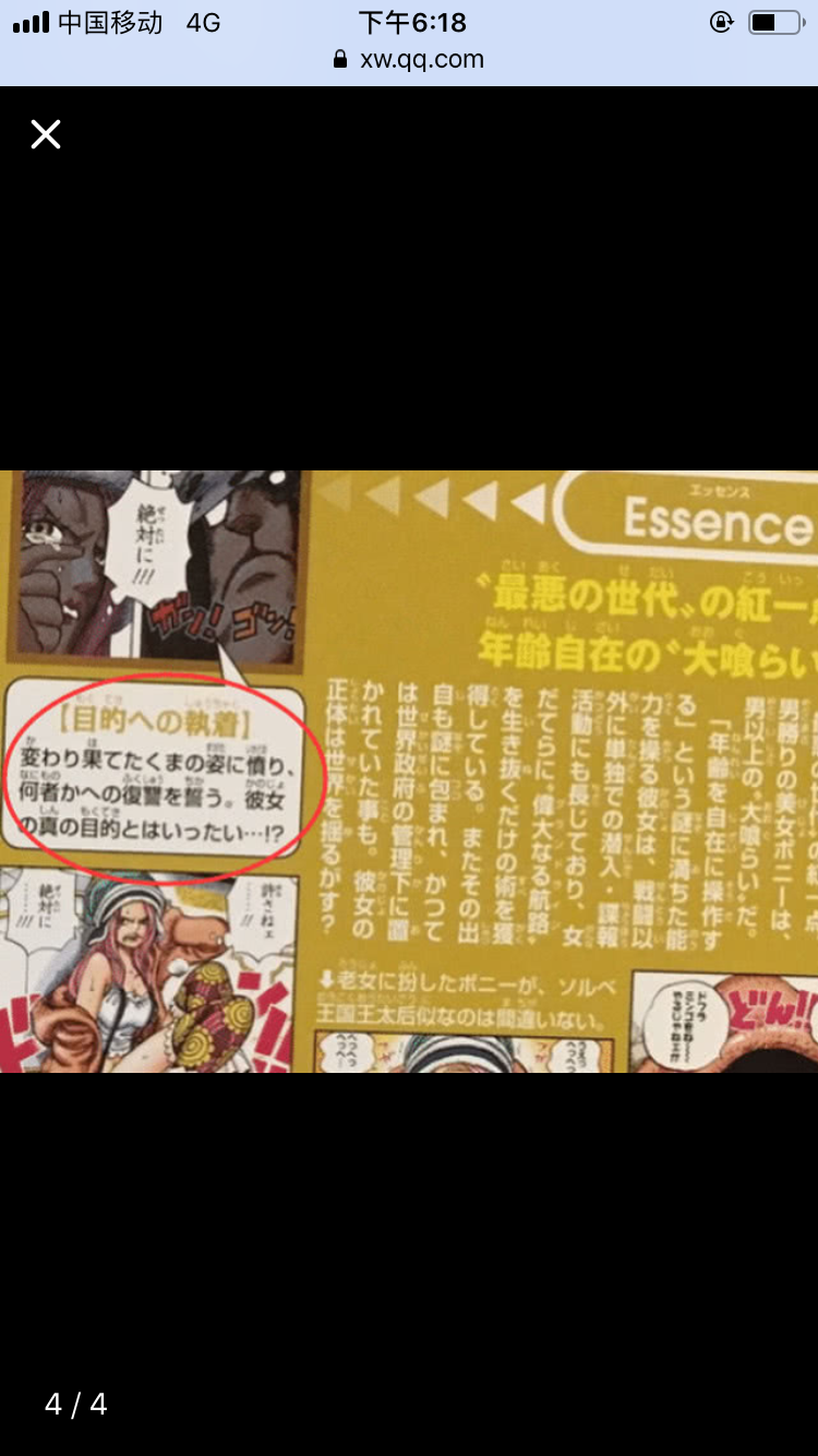 关于熊 波妮以及索尔贝王国的分析 虎扑