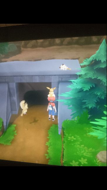 20年老玩家终于拿到初代口袋妖怪复刻,流下激