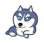 discusser-avatar