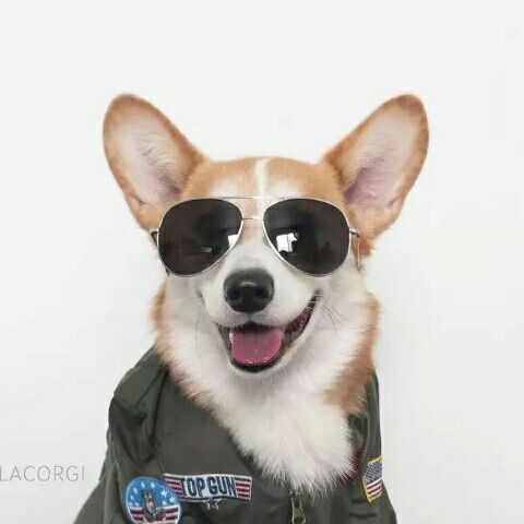 庆余年这个预告片如何