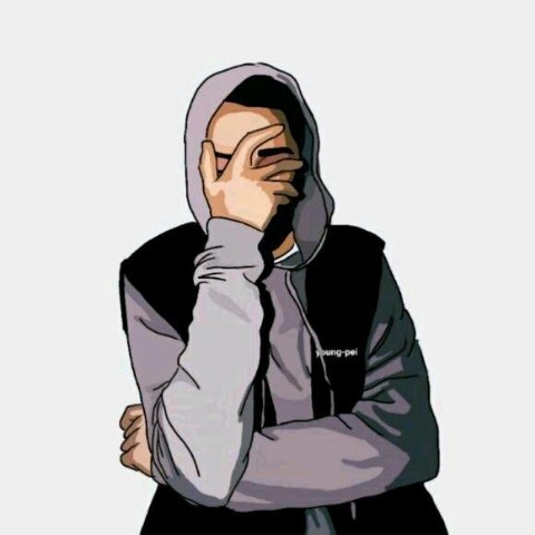 安徽到底是属于南方还是北方