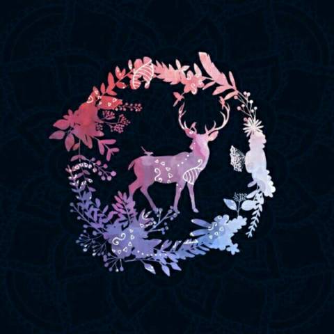 discusser-avatar