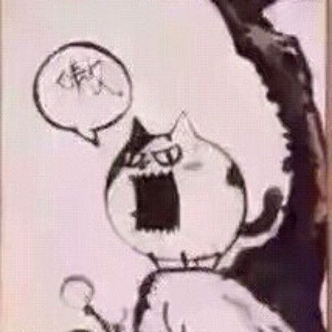 黑带选手詹姆斯约翰逊:我想和兰多夫打一场M