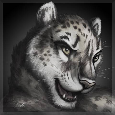 discusser-avatar