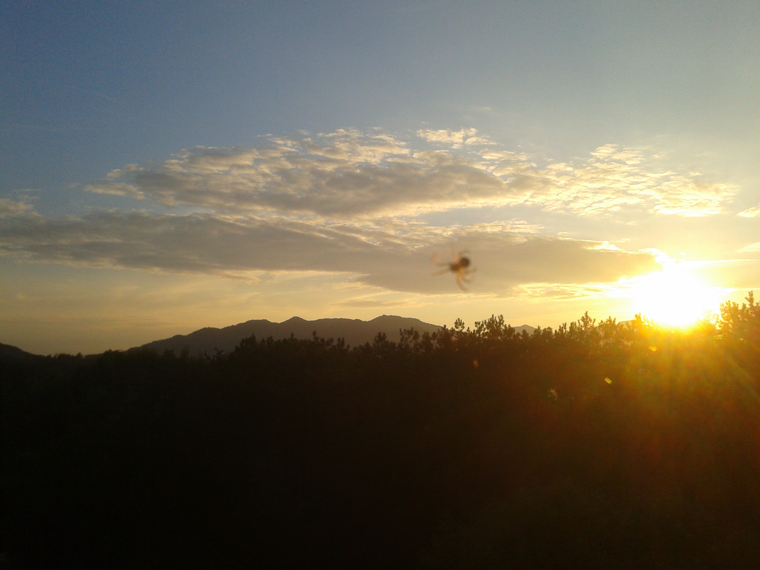 header