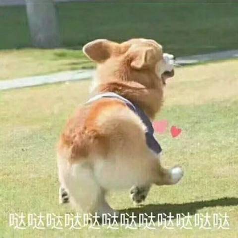 小米8夜间模式屏幕颜色不一样