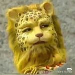discusser-avatar