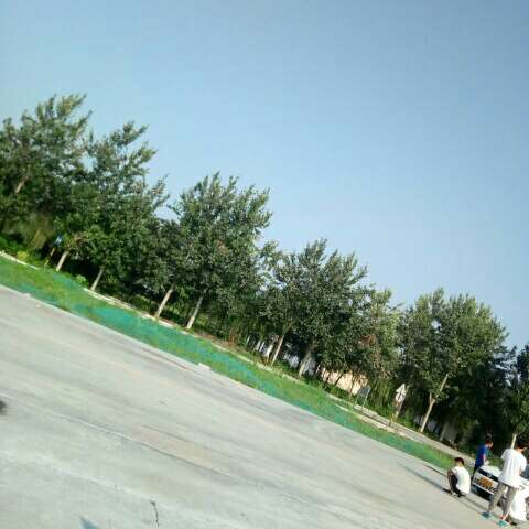 Bixby、小爱同学、jovi…手机中的语音助手最鸡