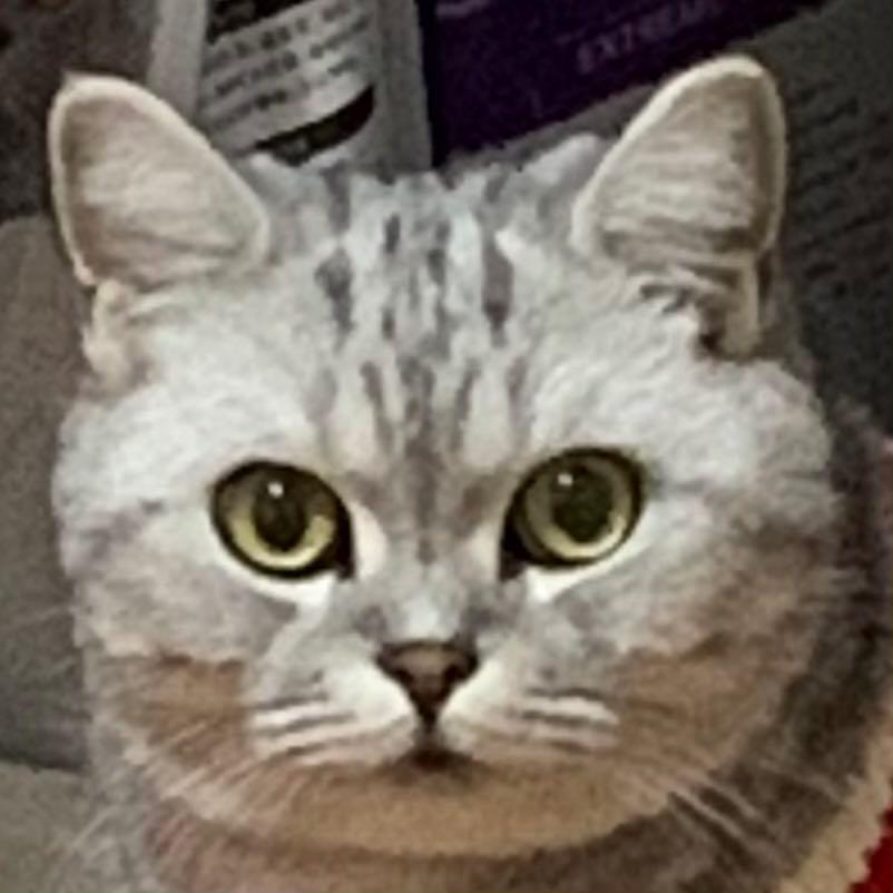 discusser-avatar
