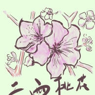 二两桃花