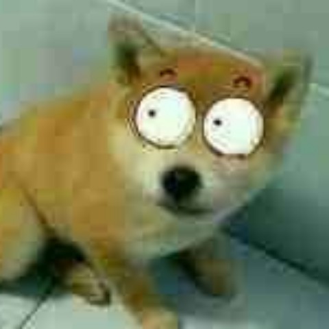 discusser-avatar