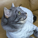 discusser-avatar