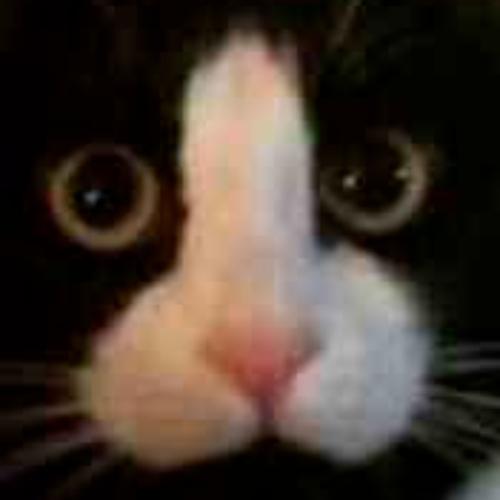 discusser-avatar