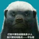 discusser-avatar