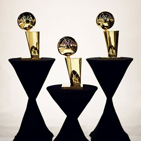 我们家猫的智商什么水平?猫界前几能排的上吗