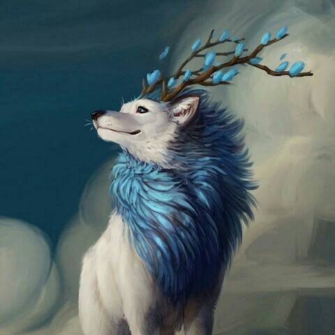discusser-avatar