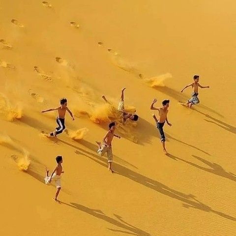 discusser-avatar