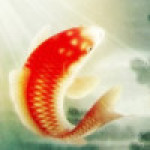 discusser-avatar