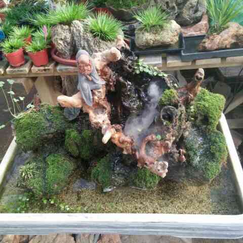 [翻译团]NBA2018选秀球探报告:杰文-卡特