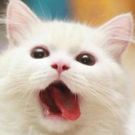 仰望星空的天使的虎扑篮球空间