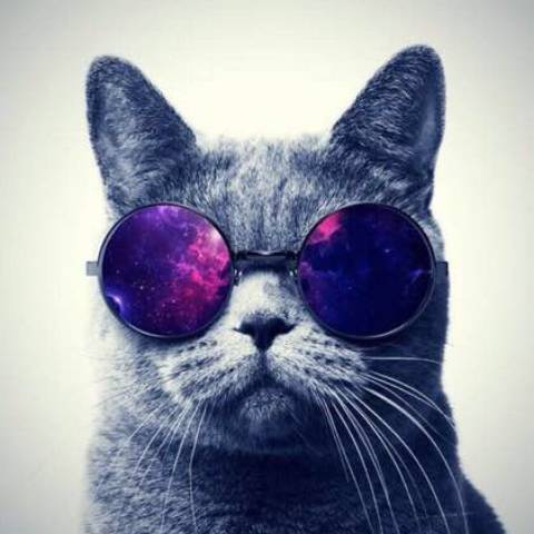 discusser-avatar