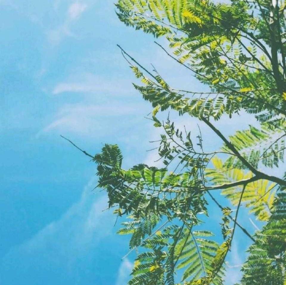 header