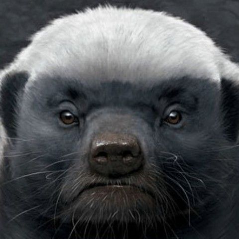 3名恒大U23球员加盟中乙宁夏山屿海